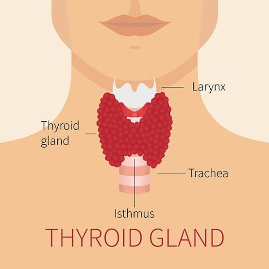 best thyroid treatment in Bhopal
